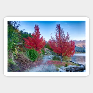 Reflective Beauty: Autumn Trees by the Lake Sticker